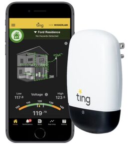 A smartphone showing the Ting app next to the Ting device