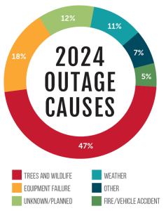 A donut chart of Tipmont's 2024 outage causes